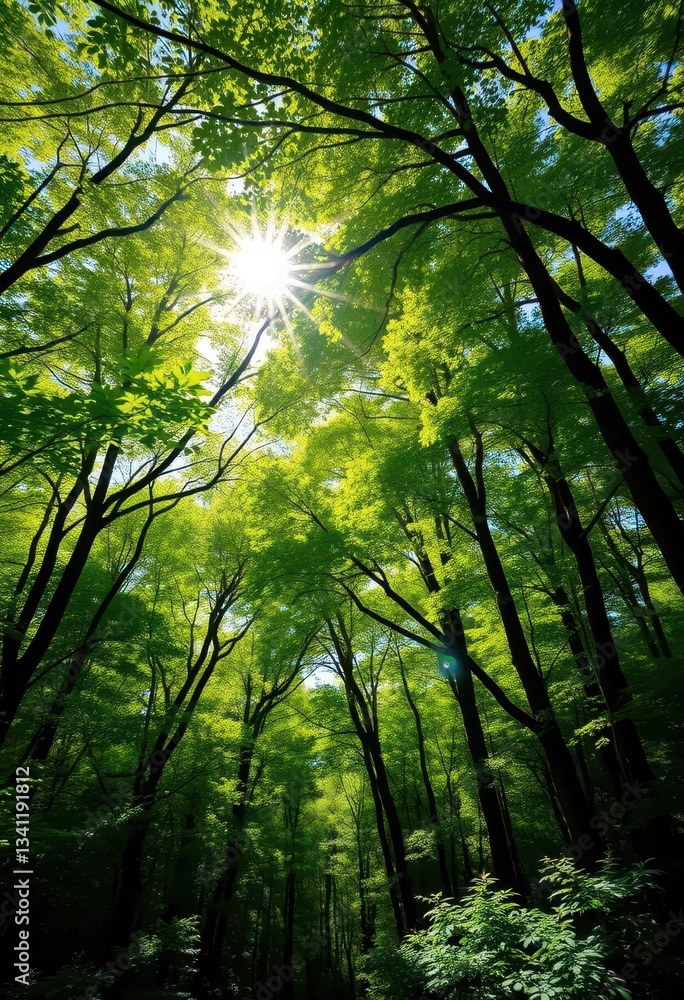 Naklejka premium Sun-drenched summer forest panorama, vibrant green canopy, dappled light, photography, landscape, background