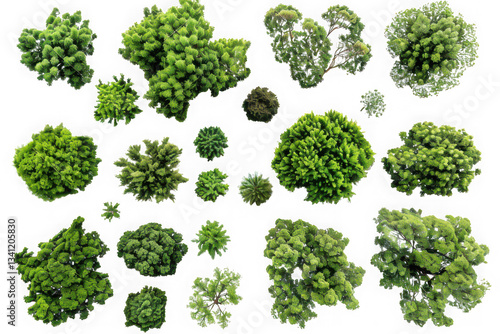 Top View of Various Trees - Perfect for Landscape Design