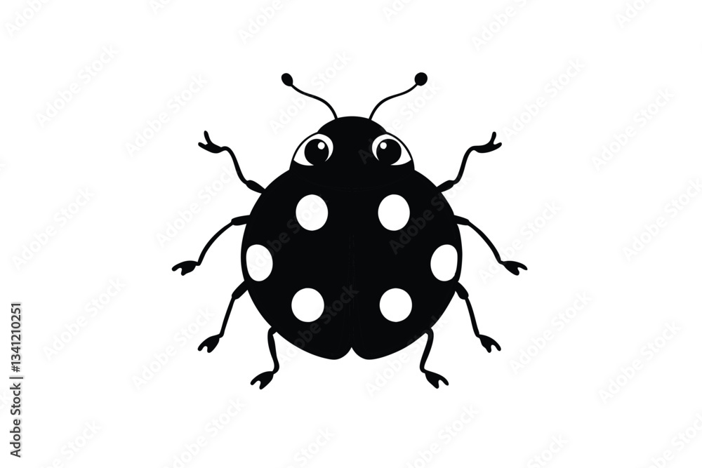 ladybug on white background ladybug on white background