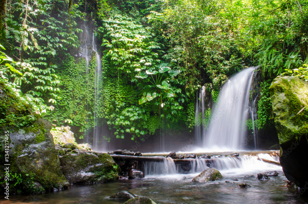 waterfall in the jungle waterfall in the jungle