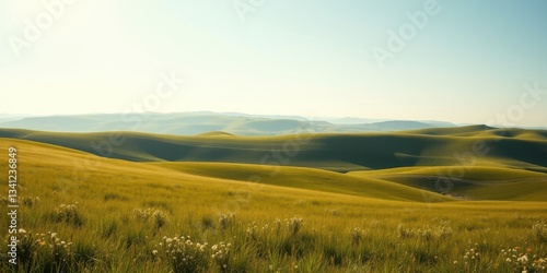 Serene Rolling Hills Landscape with Wildflowers in a Meadow