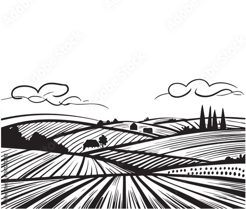Farm fields sketch. Vine plantation hills, trees, clouds on the horizon vector illustration