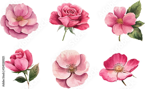 Wallpaper Mural set of pink roses isolated Torontodigital.ca