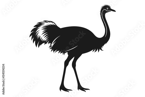 ostrich line art silhouette vector illustration
