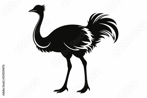 ostrich line art silhouette vector illustration
