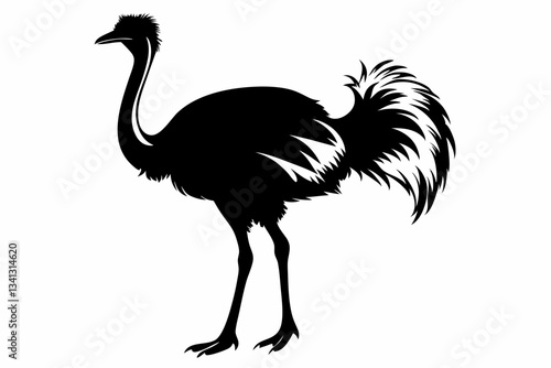 ostrich line art silhouette vector illustration