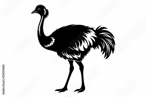 ostrich line art silhouette vector illustration