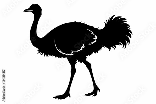 ostrich line art silhouette vector illustration
