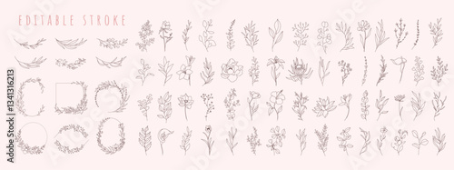 Set of different flowers, brunch and frames from flat editable stroke. Luxury line floral collection for wedding invitation art, design template. Botanical vector