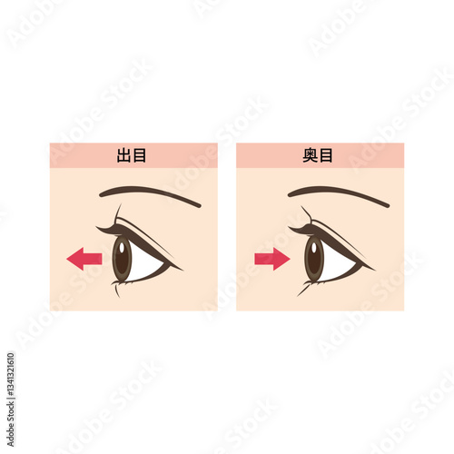 出目と奥目の違いイラスト