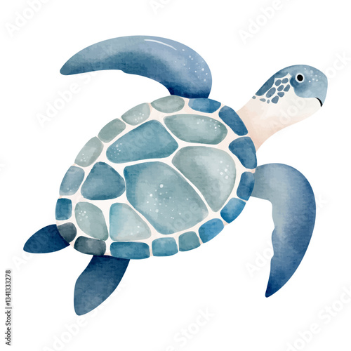 Cute watercolor turtle. Hand drawn tortoise. Underwater character. Marine animals. Inhabitant of the ocean