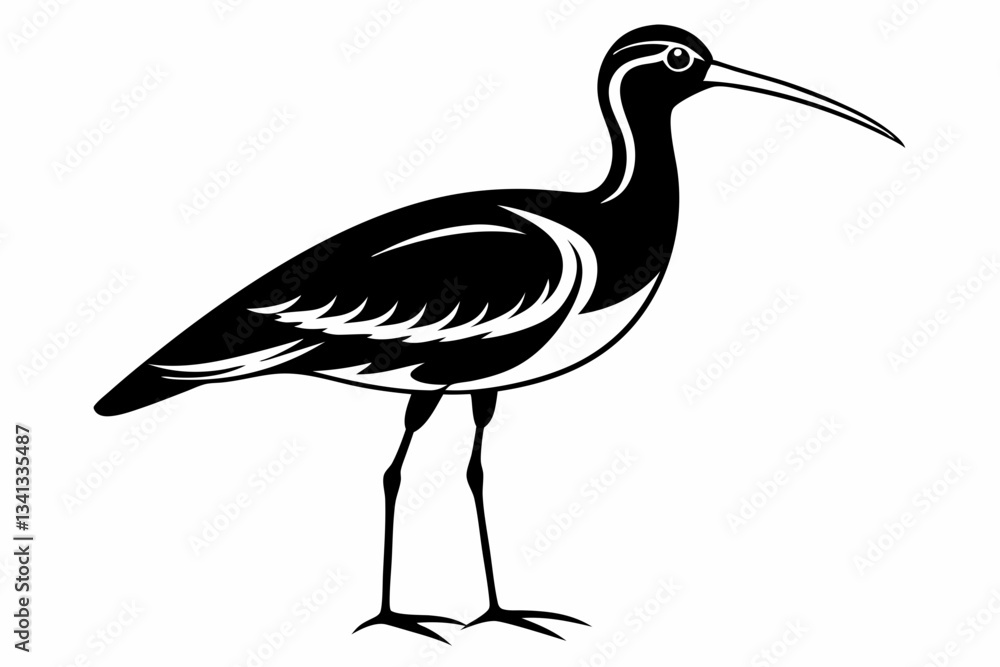 Fototapeta premium curlew line art silhouette vector illustration