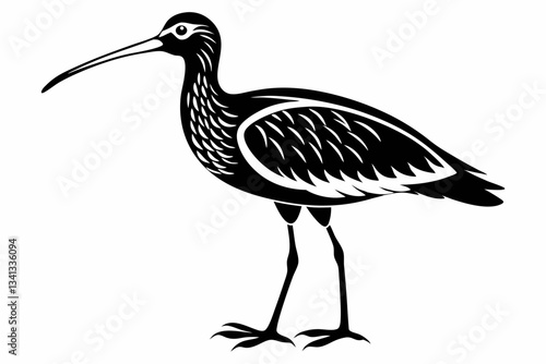 curlew line art silhouette vector illustration