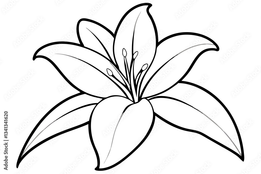 Obraz premium lily line art silhouette vector illustration
