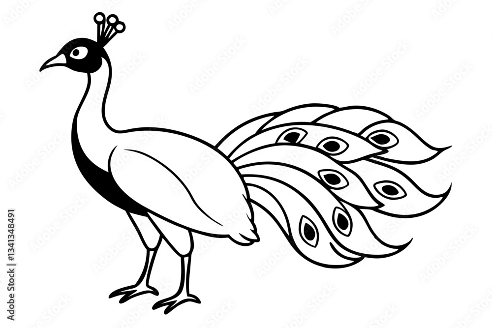 Fototapeta premium peacock line art silhouette vector illustration