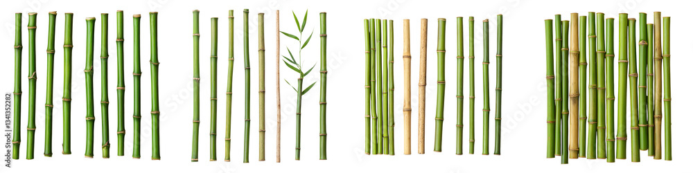 Multiple rows of tall slender green bamboo stalks arranged in a natural organic setting showcasing the sustainable and tranquil nature of this versatile plant Multiple rows of tall slender green bamboo stalks arranged in a natural organic setting showcasing the sustainable and tranquil nature of this versatile plant