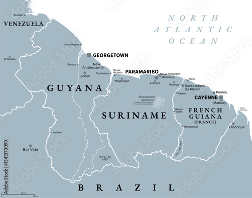 Guyana, Suriname, and French Guiana, gray political map. Two countries and an overseas department of France on the coast of South America. With international recognized borders and disputed areas.