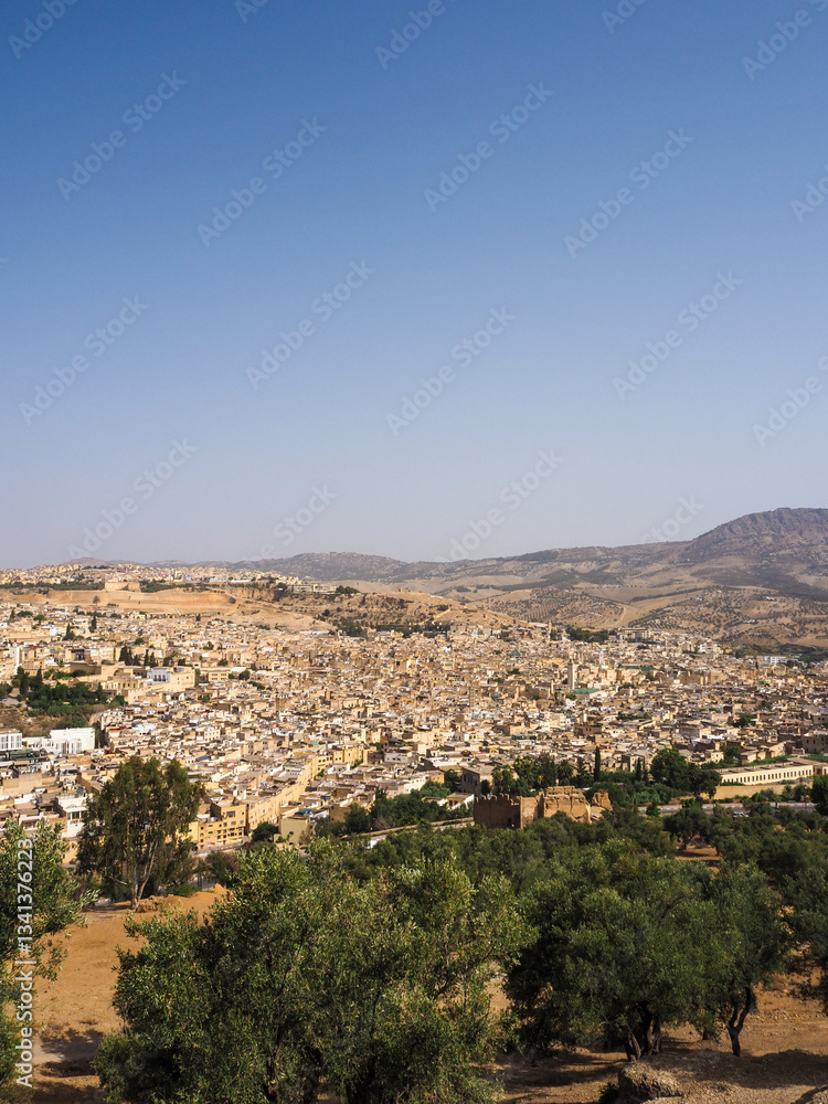 Fototapeta premium Fez - Morocco