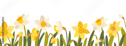 Floral frame, frame with daffodils on white background. Spring botanical pattern with flat flowers. Vector horizontal panorama with narcissus