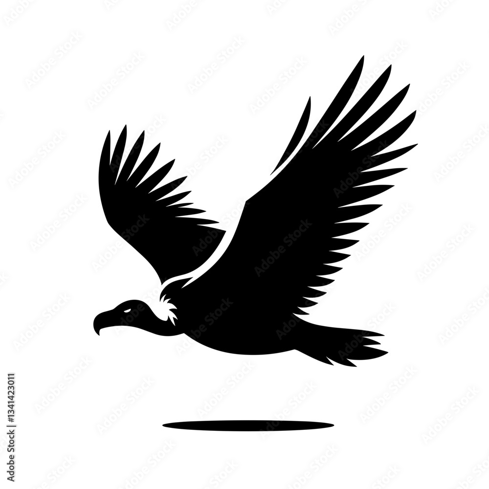 Obraz premium Flying vulture silhouette in motion on white background