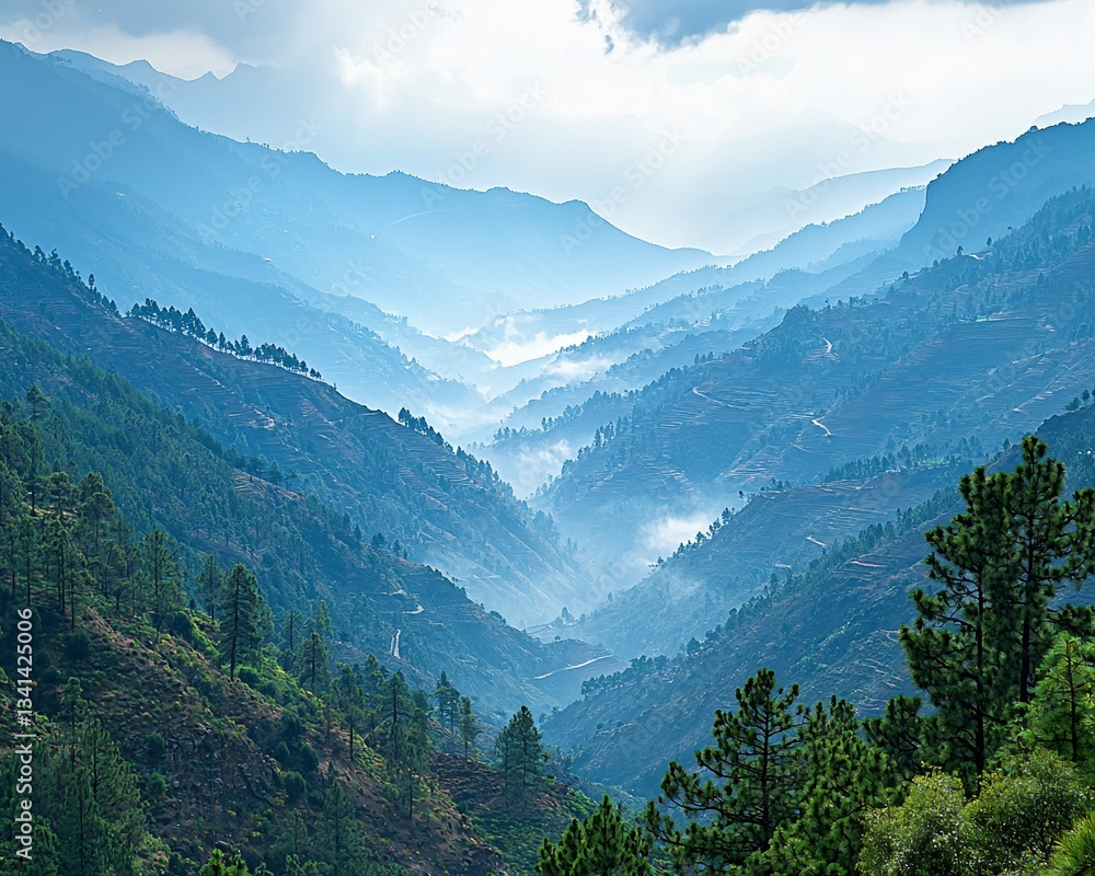 Fototapeta premium Misty Mountain Valley, Lush Landscape, Hidden Path, Scenic View