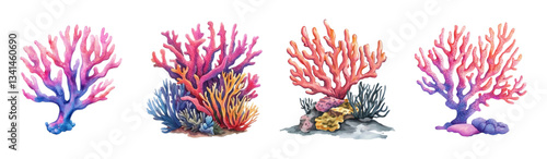 Watercolor set of seashells with corals. Set of sea and ocean corals with sea urchin and algae. Concept of underwater marine plants. Elements for aquarium decor.