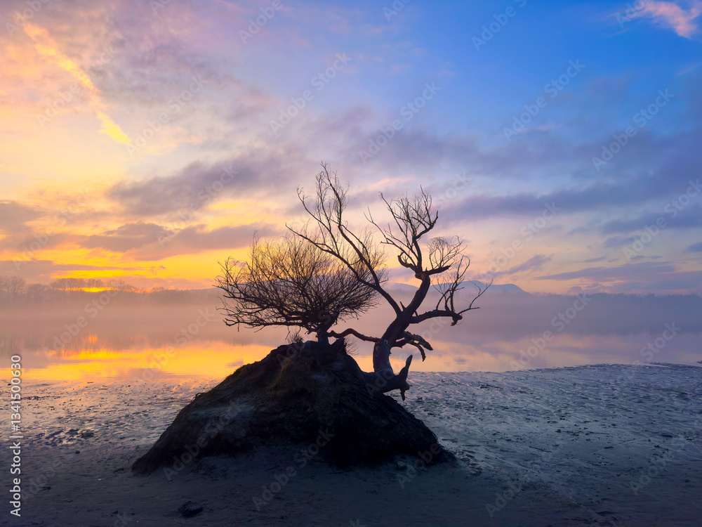 Beautiful sunset color landscape with tree silhouette in the foreground.
