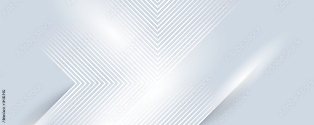 Fototapeta premium gray and white abstract background modern vector illustration