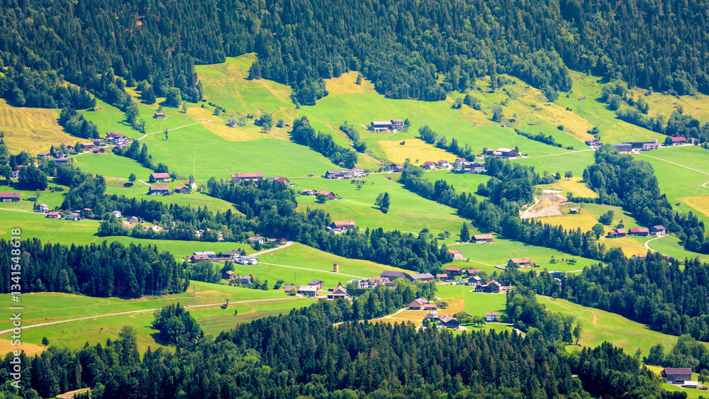 Scenic aerial view of lush green valley with houses and forested hills in summer landscape