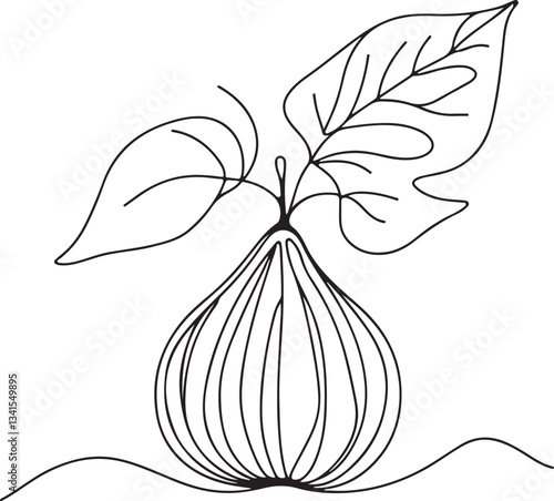 Minimalist Fig Fruit Line Art Illustration