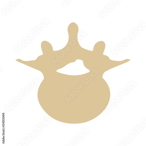 lumbar vertebra colored icon
