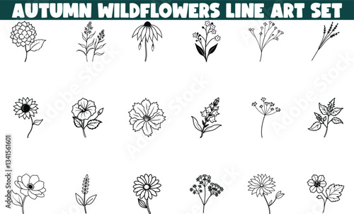 Autumn Wildflowers Line Art Set Botanical Illustrations for Design