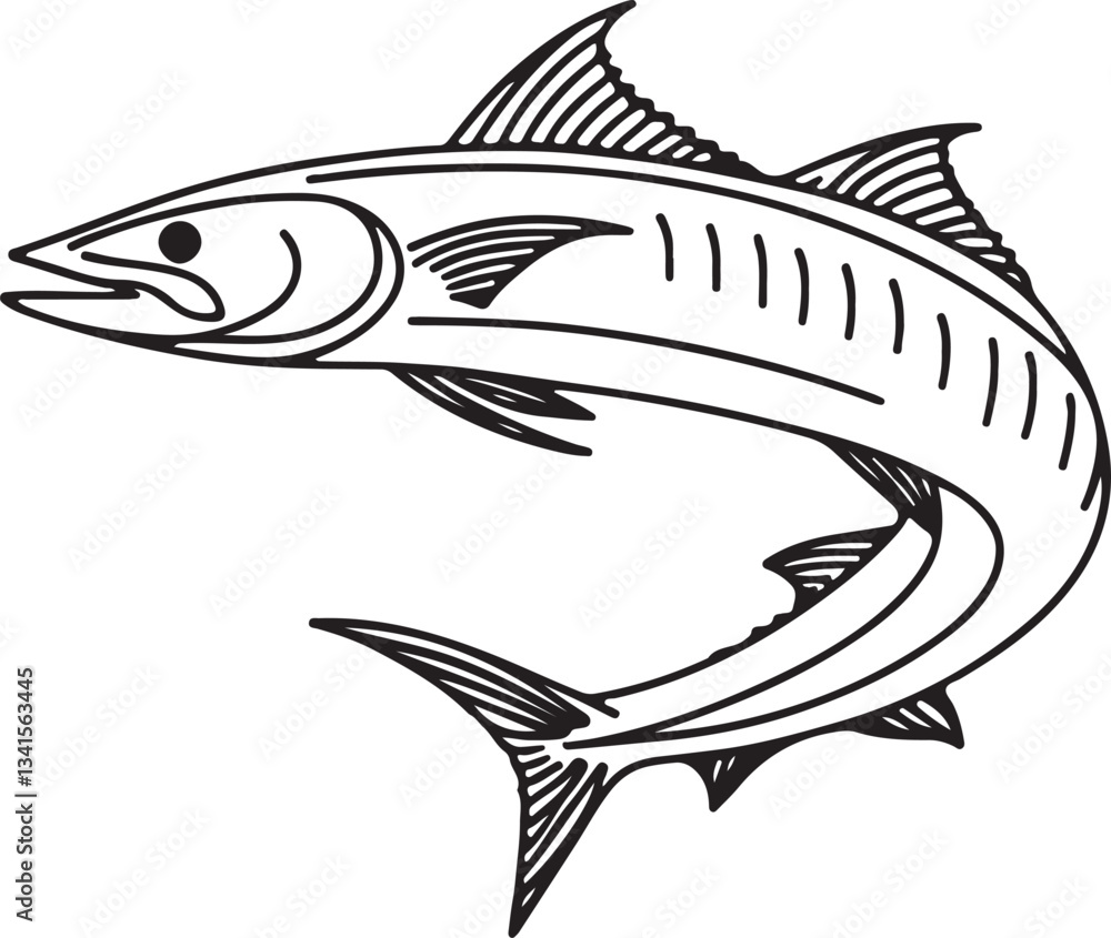 Detailed Line Art of Barracuda Fish Detailed Line Art of Barracuda Fish