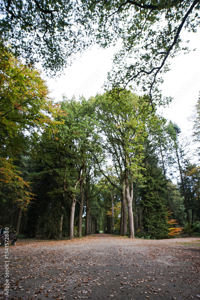 park view at eindhoven, netherland