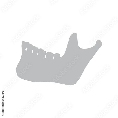 mandible icon