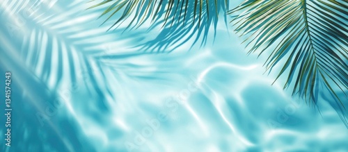 Tropical Palm Leaf Shadows on a Light Teal Background