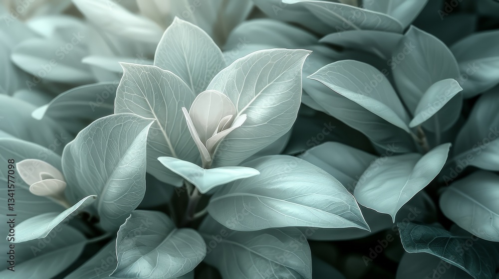 Obraz premium Abstract nature background featuring beige flower petals and leaf veins for aesthetic wallpaper