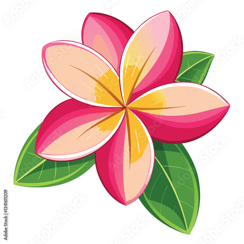 pink frangipani flower