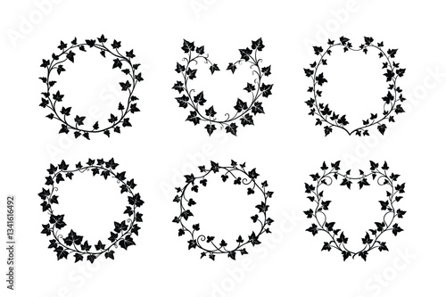 Ivy border ornament vector illustration