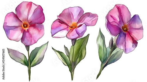 Fototapeta Naklejka Na Ścianę i Meble -  Three watercolor pink flowers with leaves.