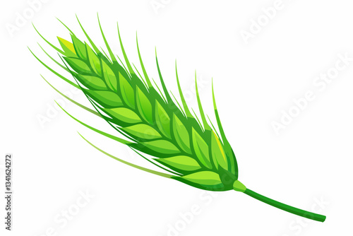 High-Detail Macro Illustration of a Green Wheat Ear – Isolated Botanical Specimen.