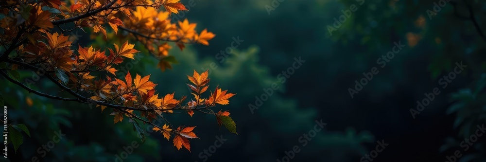 high-contrast foliage against a dark background, nature, branches high-contrast foliage against a dark background, nature, branches