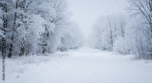 Wallpaper Mural Snow Covered Road Through Forest Trees on a Cold Winter Day Torontodigital.ca