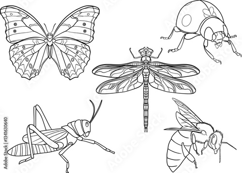 insect set of vector outline illustration coloring book, dragonfly, grasshopper, ladybug, butterfly, bee