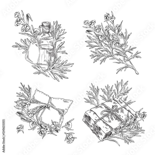 Wormwood plant and bottle of oil, essential aroma sachet, soap engraved sketch vector set, hand drawn Artemisia products