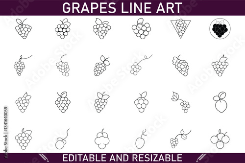 Editable Grape Line Art Illustrations Resizeable Vector Icons Set