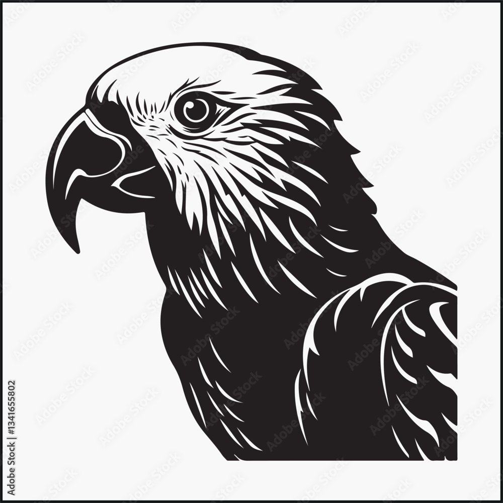Fototapeta premium Kakapo Parrot