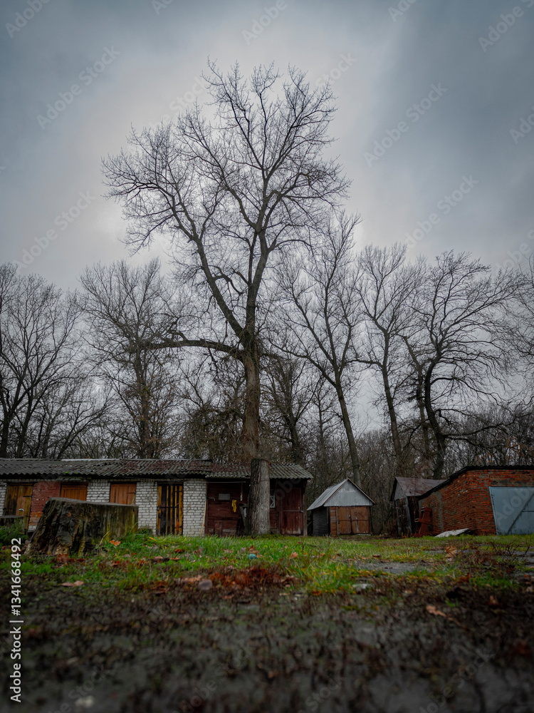 old abandoned house