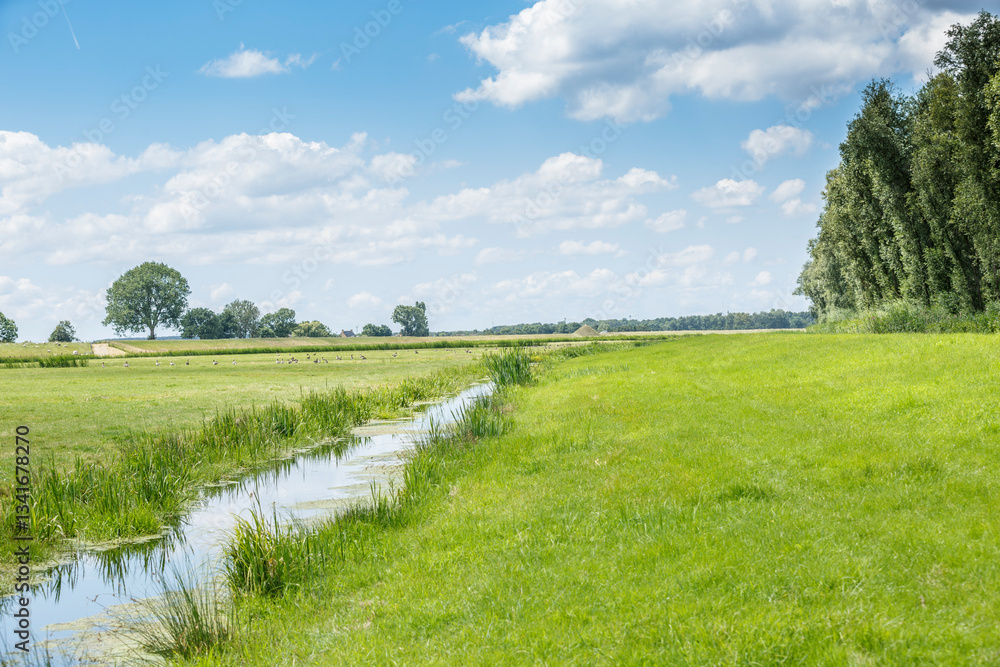 Obraz premium Expansive green landscape featuring a tranquil waterway under a blue sky with fluffy clouds on a sunny day