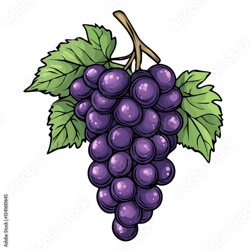 My hand-drawn colorful Grape. Trendy abstract minimal style. Natural fresh. Vector illustration isolated on white background, vector illustration